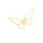 single gold butterfly