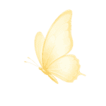 single gold butterfly
